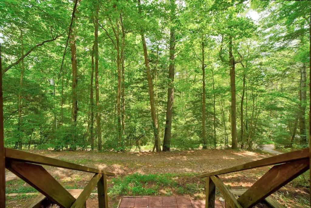 Bear Den Bungalow With Hot Tub Near Blue Ridge And Ellijay Extérieur photo